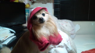 2012-03-07 16:28:50