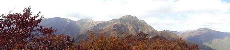 ぴっぽこぷっぷく