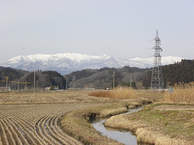 DSCN7521.jpg