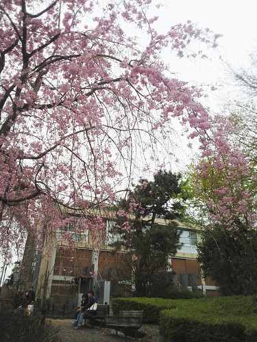 senzokuike7