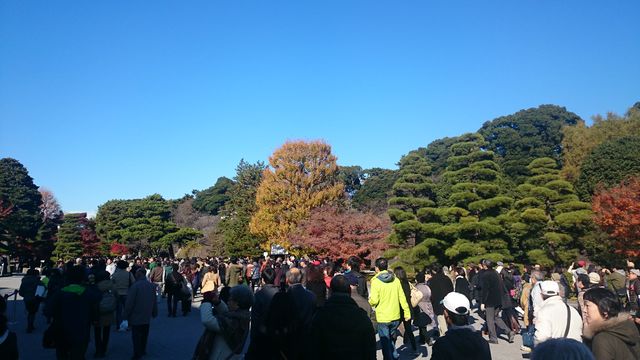 2014-12-06 13.00.49.jpg