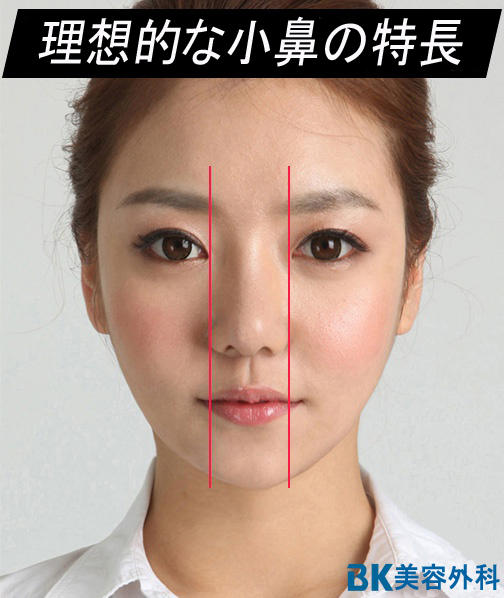 小鼻縮小 韓国 美容整形 Bkトンヤン Bk美容外科 韓国美容外科 ｂｋ美容外科のブログ 楽天ブログ