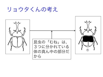 カブトムシの頭 胸 腹は その２ 授業研究のあしあと 楽天ブログ