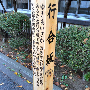 お散歩