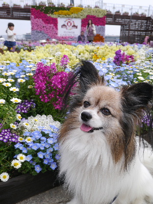 2012横浜1-2.JPG