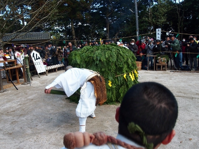 P2156220 (640x480).jpg