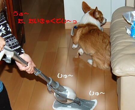 021305.jpg