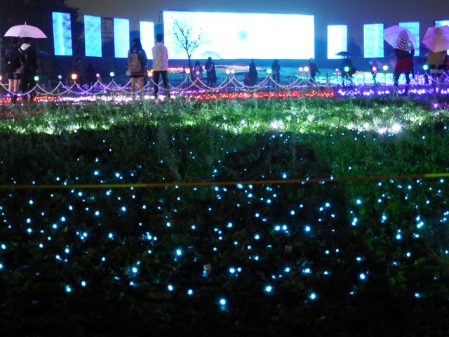 DSCF3374.JPG