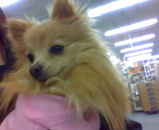 20120209115737.jpg