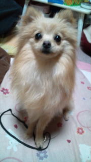 20120216201705.jpg