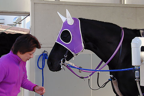 2002年フェブラリーステークスの思い出 | 地方競馬の楽天競馬 2002年フェブラリーステークスの思い出 | 地方競馬の楽天競馬