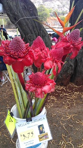 IMAG2232.jpg