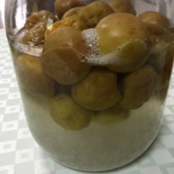 シロップ 濁り 梅