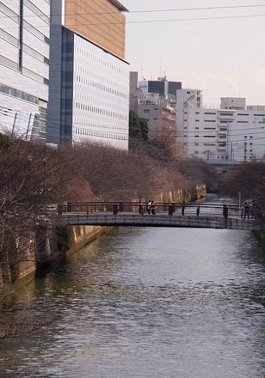 目黒行人坂 太鼓橋 清多夢くらぶ 楽天ブログ