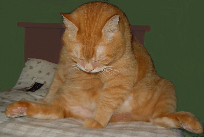 DSCN0807.JPG