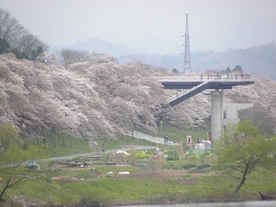 DSCN7783.jpg