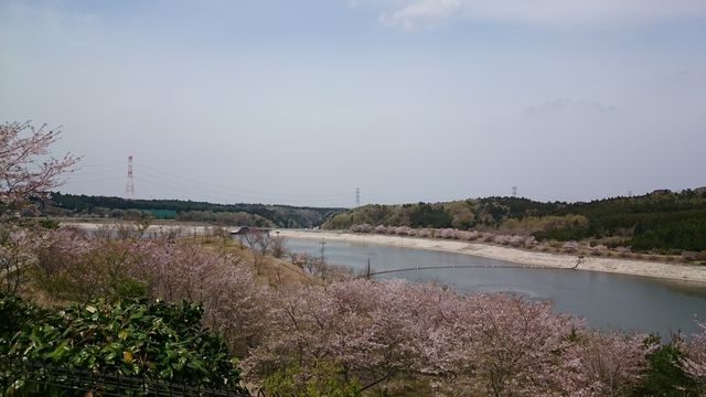 2016-04-10 12.07.37.jpg