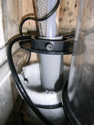 RIMG0494.jpg
