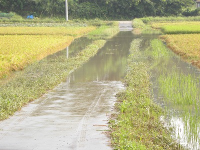DSCN9423.jpg