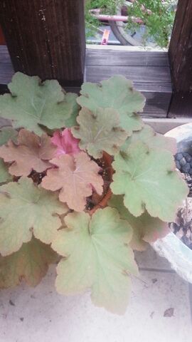 rblog-20140830153355-00.jpg