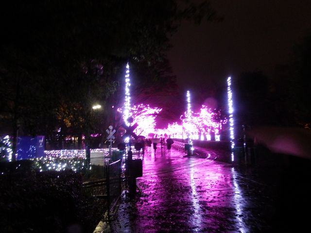 DSCF3422.JPG