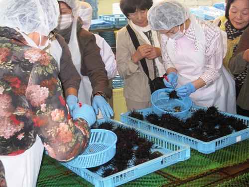 ウニ割器アレ？・・・元祖は ”生うにパックリ” です | やっくん、ひろ