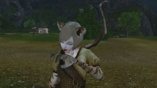 アーキエイジ フェレ アーキエイジ キャラクリ保存用 楽天ブログ