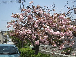 IMG_6381.jpg