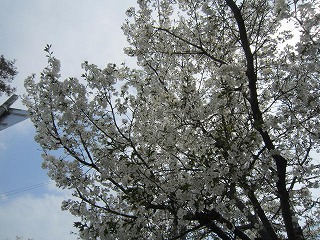 IMG_5780.jpg