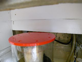 RIMG0490.jpg