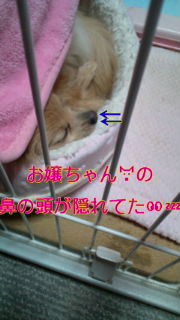 20120222000021.jpg