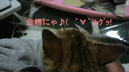 2012_0429うさちゃん1327.JPG