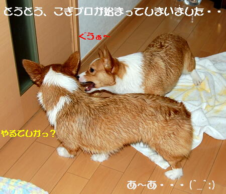 022706.jpg