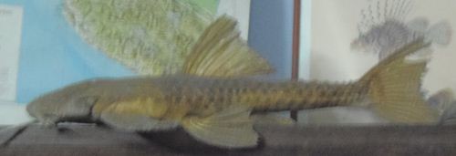P9280006_R.JPG