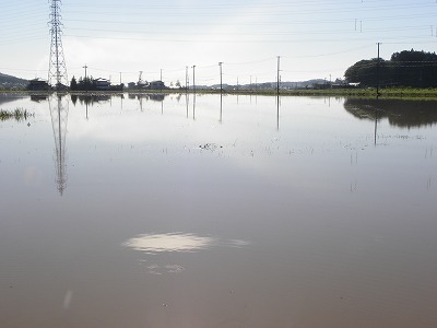 DSCN9372.jpg