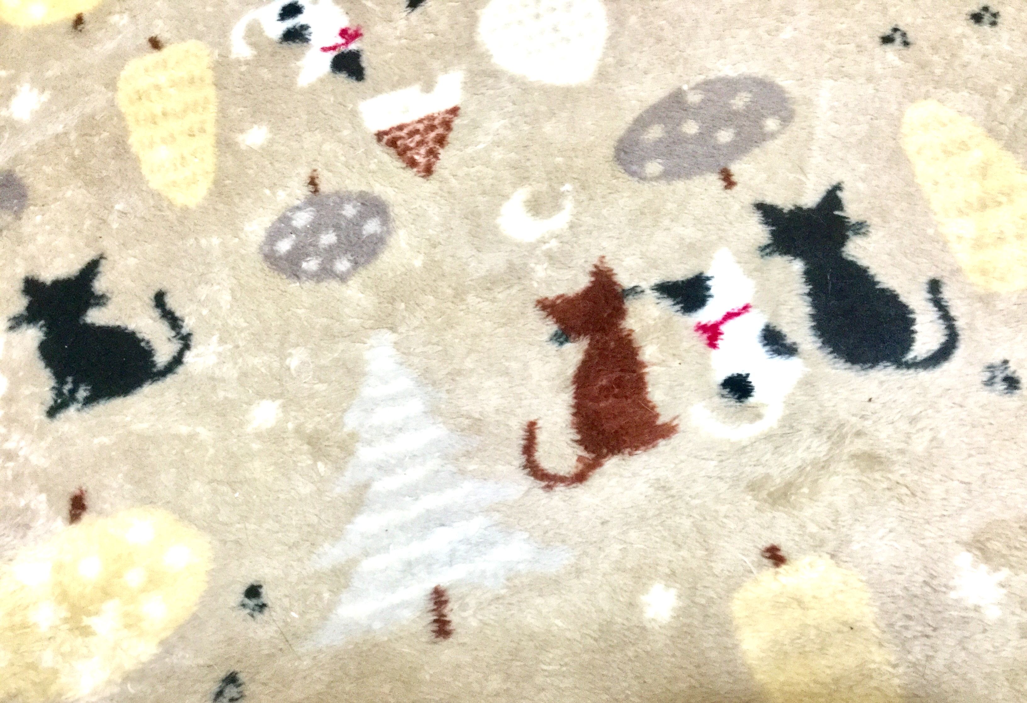 愛猫と楽しく(=^ェ^=)