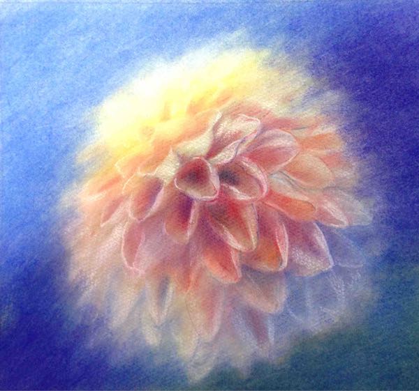 花のパステル画宙花 花」ホワイトデー用のパステル画 3 | パステル画制作日記 - 楽天