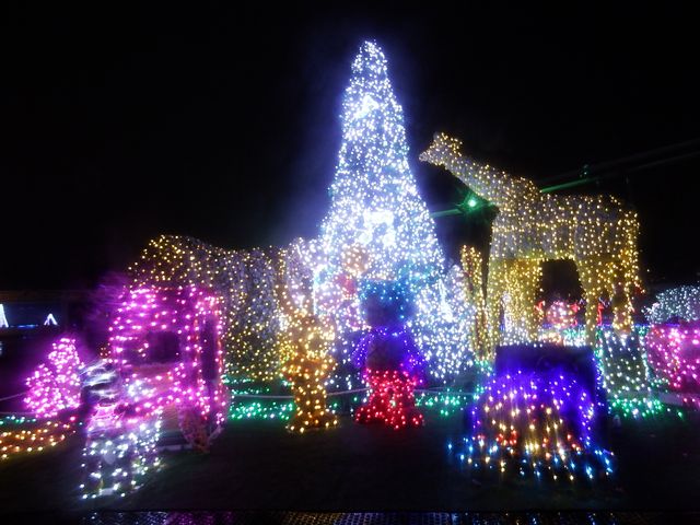 DSCF3399.JPG