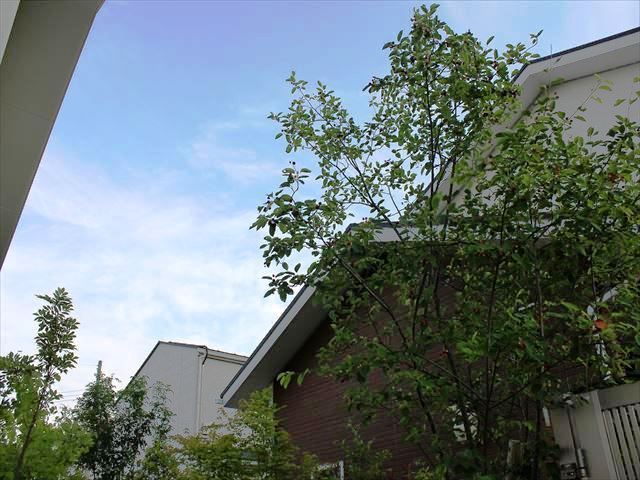 IMG_7523_R.JPG