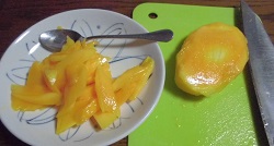 太陽のたまご 6