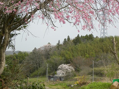 DSCN8191.jpg