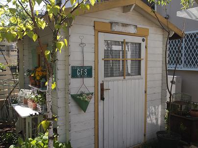 176.JPG