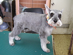conv0600.JPG