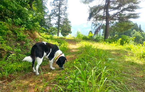 2013.6.14-31.jpg