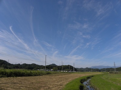 DSCN9569.jpg
