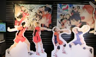 ハイキュー17