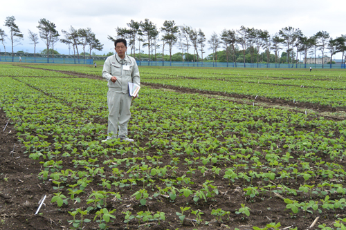 北海道の農業を支える「道総研 中央農業試験場」！ | 北海道庁の