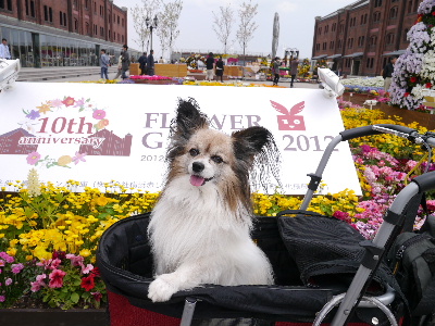 2012横浜1-6.JPG