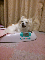 rblog-20130807132556-01.png