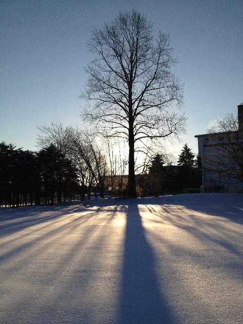 冬は、つとめて。雪の降りたるはいふべきにもあらず